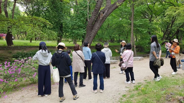 창경궁 거닐며 보고 듣는 500살 나무 이야기