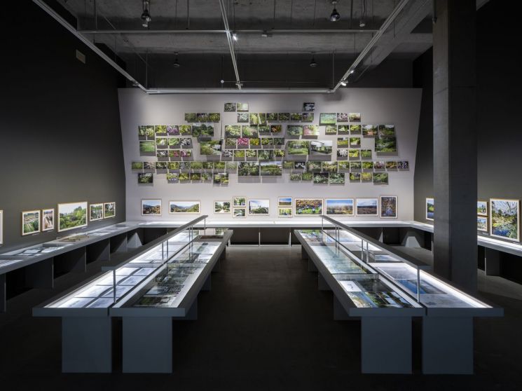 [갤러리 산책]1세대 조경가 정영선의 '삶과 예술'