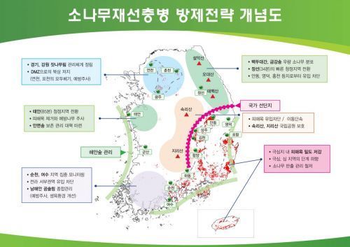 松材线虫病防治战略概念图。林业厅提供