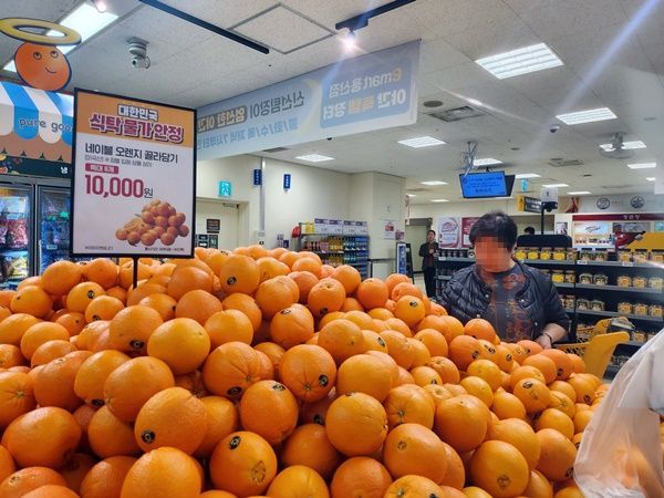 [르포]"사과보다 망고·오렌지"…'과일 직수입'에 붐비는 마트, 한산한 전통시장
