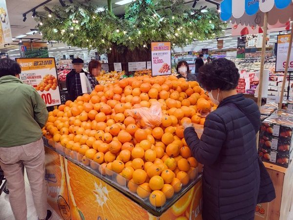[르포]"사과보다 망고·오렌지"…'과일 직수입'에 붐비는 마트, 한산한 전통시장