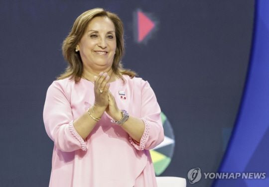 지난해 11월 미국 샌프란시스코 APEC CEO 서밋에 참석한 디나 볼루아르테 페루 대통령. [사진출처=EPA/연합뉴스]
