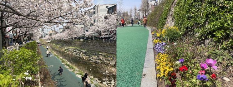 성북구 하천 꽃향기로 가득