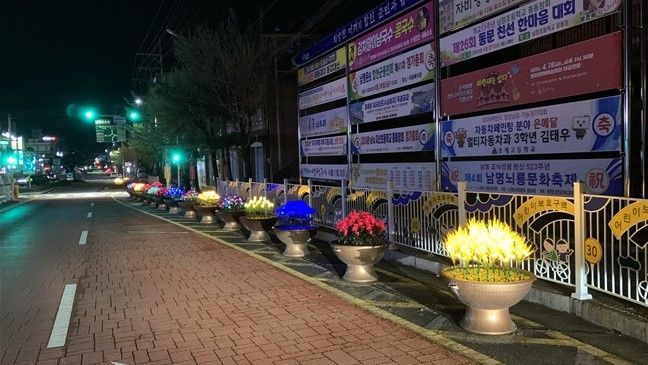 합천군, 주?야간 볼거리 화분 LED 꽃 조명 설치 사진.