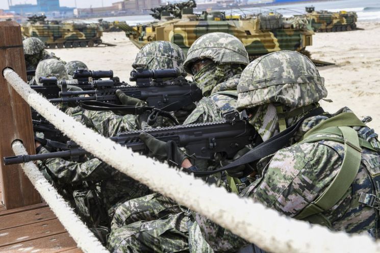 [양낙규의 Defence photo]전군 힘 합친 상륙작전