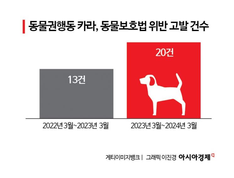 "죽거나 다쳐야 학대 입증"…개정 동물보호법 시행 1년, 효과 미미