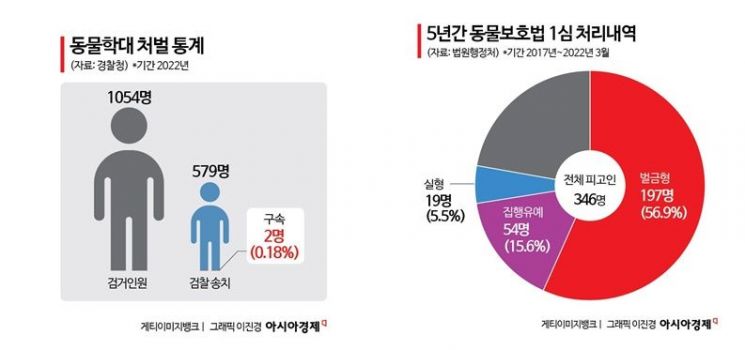 "죽거나 다쳐야 학대 입증"…개정 동물보호법 시행 1년, 효과 미미