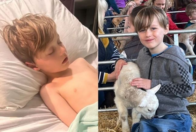 아기 염소 귀엽다며 함부로 만졌다간…이 병 걸립니다