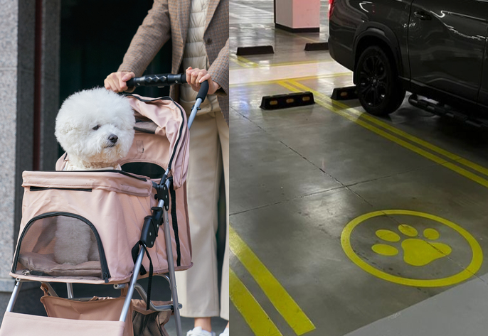 '개모차도 소중하니까'…쇼핑몰 주차장에 나타난 '강아지 발바닥' 