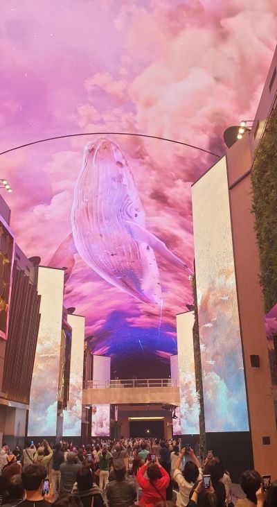 모히건 인스파이어 엔터테인먼트 리조트를 찾은 방문객들이 오로라 거리에서 디지털 아트 핑크 고래를 관람하며 휴대전화로 기념촬영하고 있다.