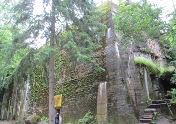 '나치 2인자' 괴링 은신처서 의문의 유골 5구 발굴