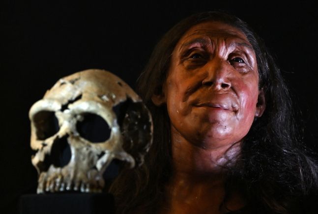 2일(현지시간) 영국 케임브리지대 연구팀은 2018년 이라크 샤니다르 동굴 유적에서 발굴한 유골 화석을 통해 구현한 네안데르탈 여성 '샤니다르 Z'의 얼굴을 공개했다. [이미지출처=AFP연합뉴스]