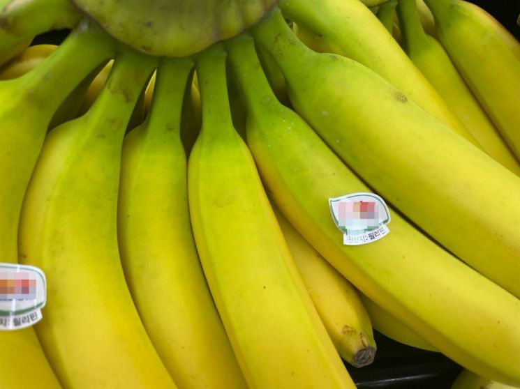 최근 전남 광양지역 회원농협에서 판매한 필리핀산 수입 바나나.[사진제공=영광군농민회]