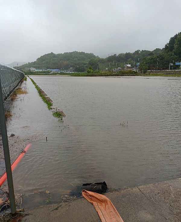 지난 5일부터 내린 폭우로 전남 광양시 진상면의 애호박 시설 하우스가 물에 잠겨 있다.[사진제공=장영기씨]
