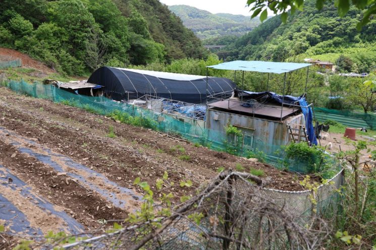 "맹견 탈출문자는 개 공포·혐오 반영된 것"…수의사 분노