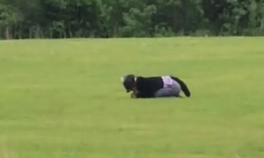 자신을 고양이라고 생각하는 한 여성이 고양이 흉내를 내고 있다. [이미지출처=틱톡]