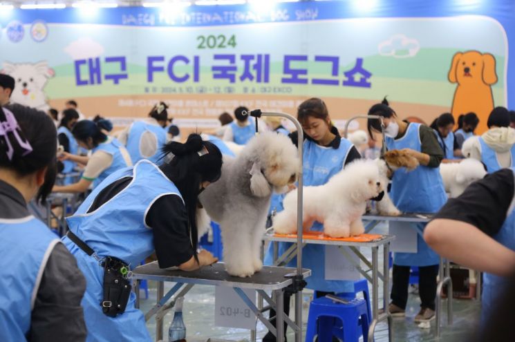 A pet grooming contest is being held at the pet festival.