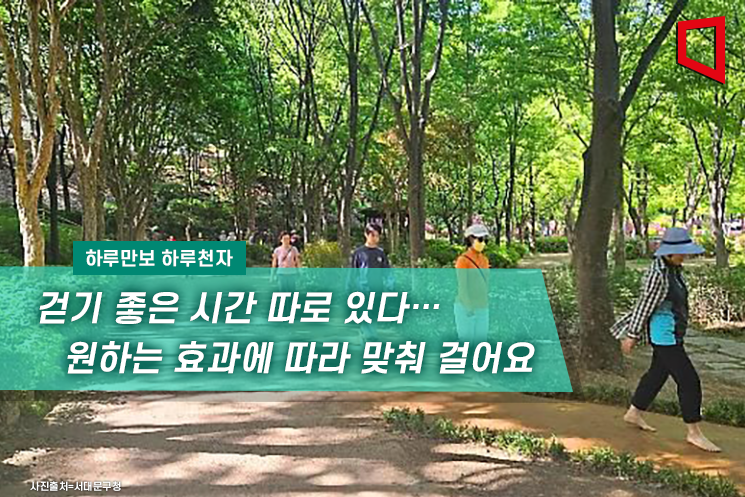 [하루만보하루천자]걷기 좋은 시간 따로 있다…원하는 효과에 따라 맞춰 걸어요