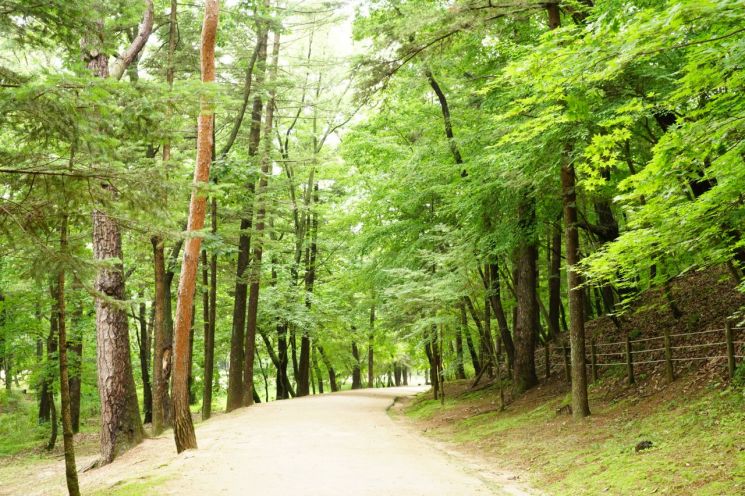 국가유산청 출범 기념…국가유산 일흔여섯 곳 무료개방