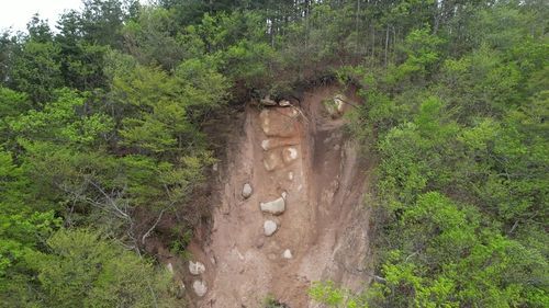 석굴암 위쪽에 발생한 산사태 [이미지출처=연합뉴스]