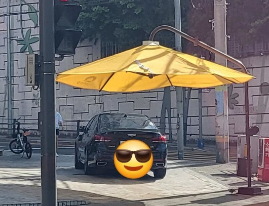 "내 차는 소중하니까"…보행자 그늘막에 주차한 차주에 '황당'