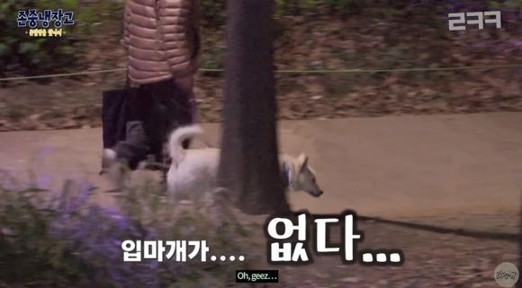 "진돗개 차별하냐" 거센 항의에…이경규 '존중냉장고'측 "깊이 사과"