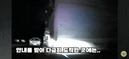 기저귀 차고 덜덜 떨던 치매 노인, 신고 30분만에 가족 품에 안겼다