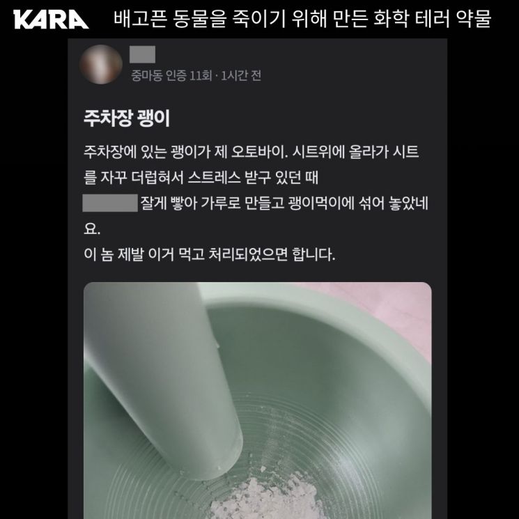 "고양이 없애기 위한 먹이"…40대男 글에 동물단체 '발칵' 