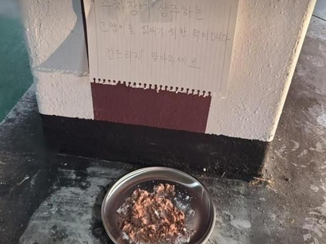 "고양이 없애기 위한 먹이"…40대男 글에 동물단체 '발칵' 