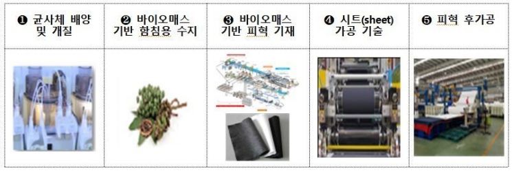 버섯 균사체를 이용하여 비건레더 신규소재와 제품 개발.