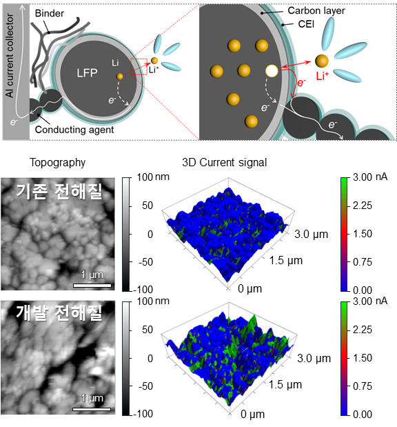 개발된 첨가제가 사용되지 않은 리튬인산철 양극과 개발 첨가제를 적용한 리튬인산철 양극의 C-AFM 나노스케일 영상화 결과. 영상화 결과에서 개발 첨가제를 사용한 경우는 3D 전류 신호가 비교적 높은 값을 보이는 것(초록색 부분이 증가함)을 확인할 수 있다. KAIST 제공
