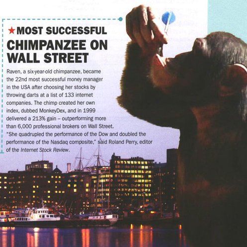 1999년 6000명의 월가 전문 투자자를 앞지른 실적을 보여 화제가 된 침팬지 '레이븐'. 금융 시장의 예측이 때로는 얼마나 무의미한지 보여주는 대표적인 사례로 남았다. [이미지출처=기네스북 엑스(X)]