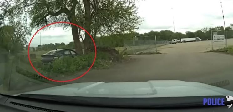 나무에 부딪힌 뒤 멈춘 현대차 [이미지출처=유튜브]