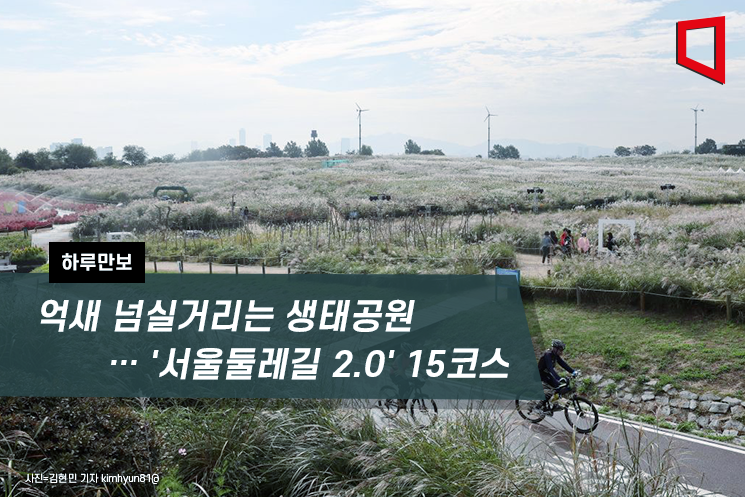 [하루만보]억새 넘실거리는 생태공원 … '서울둘레길 2.0' 15코스