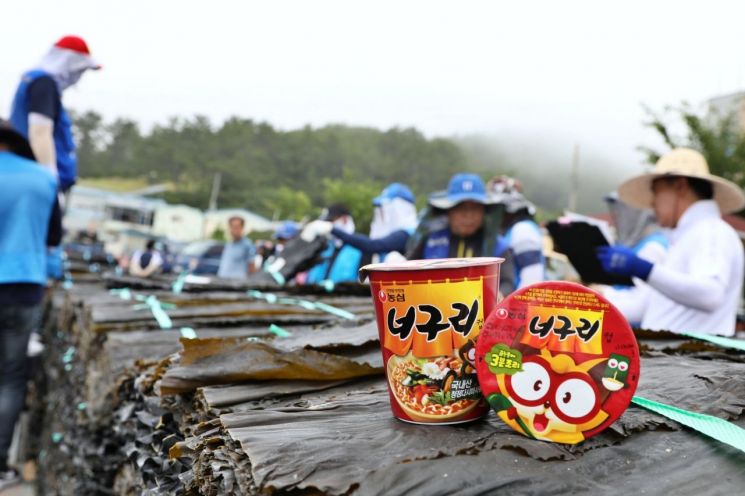 "너구리 한마리 몰고가세요"…농심, 완도산 햇다시마 450톤 산다