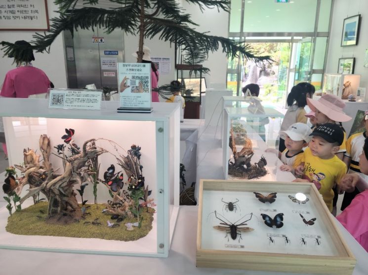 지난해 6월 열린 대청호자연생태관 세계 희귀 곤충 표본 특별전 / 대전 동구