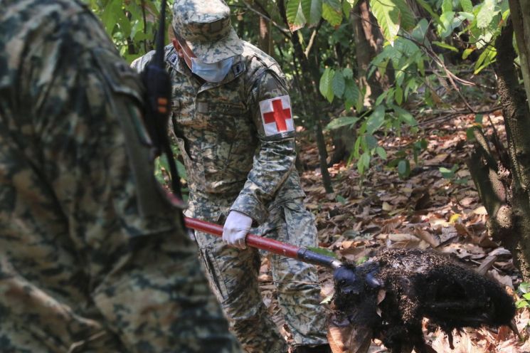 21일(현지시간) 멕시코 타바스코주 테콜루티야에서 군 장병이 폐사한 원숭이 사체를 옮기고 있다. [이미지출처=AP연합뉴스]