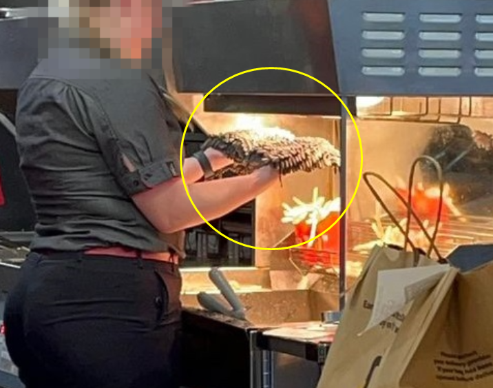 "충격적인 장면"…대걸레를 감자튀김기에 말리는 호주 맥도날드 알바