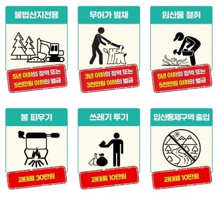 산림청, 국유림 불법 훼손 363명 적발…“입건·과태료 처분”