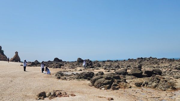 [선녀바위 해수욕장에서 쓰레기 수거 중인 탑플래너스 임직원들]
