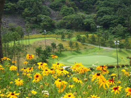 거제뷰CC는 계룡산 산바람과 한려수도 바닷바람이 조화를 이룬 명품 코스다.