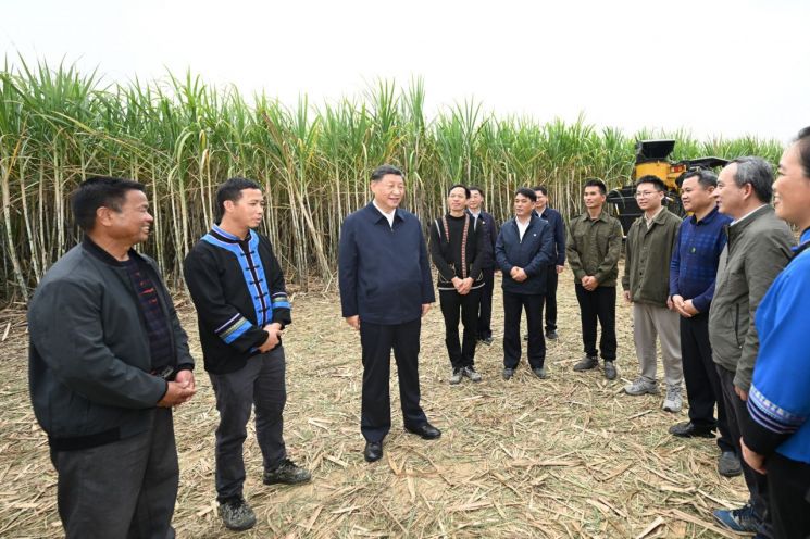 광시 좡족자치구 라이빈의 사탕수수 농장을 방문한 시진핑 중국 국가주석. [이미지출처=연합뉴스]