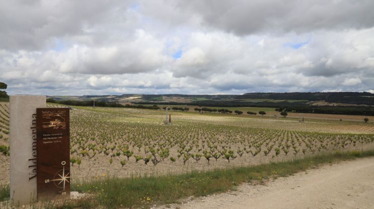 [아경와인셀라]160년의 아우라…스페인 와인의 자부심 