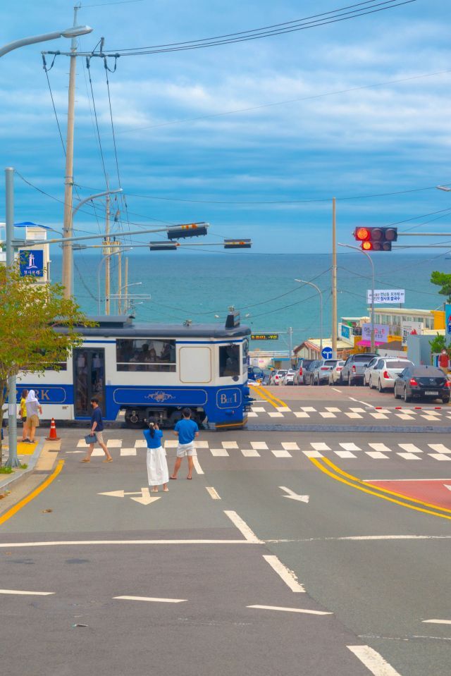 해운대해변열차에 탑승하면 부산의 해안 절경을 바라보며 낭만적인 기차 여행을 할 수 있다. 청사포 정거장 앞 건널목은 청사포 앞바다를 배경으로 아름다운 사진을 담을 수 있는 인기 포토존이다. [사진제공 = 해운대블루라인파크]