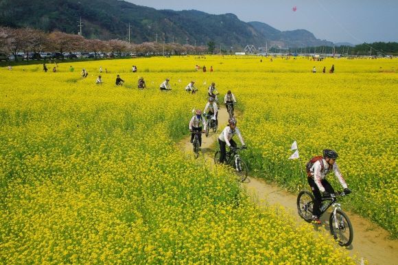 기차·버스타고 가장 많이 찾은 여행지는…강릉·경주 인기