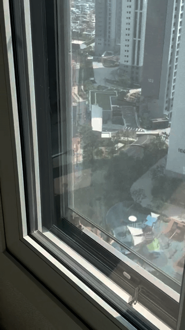 25층 아파트 창문에 박쥐가? "2시간이나 머물러"