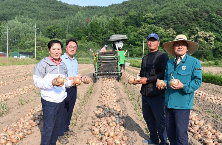 성낙인 창녕군수 양파 수확 농가 현장방문. [이미지제공=창녕군]