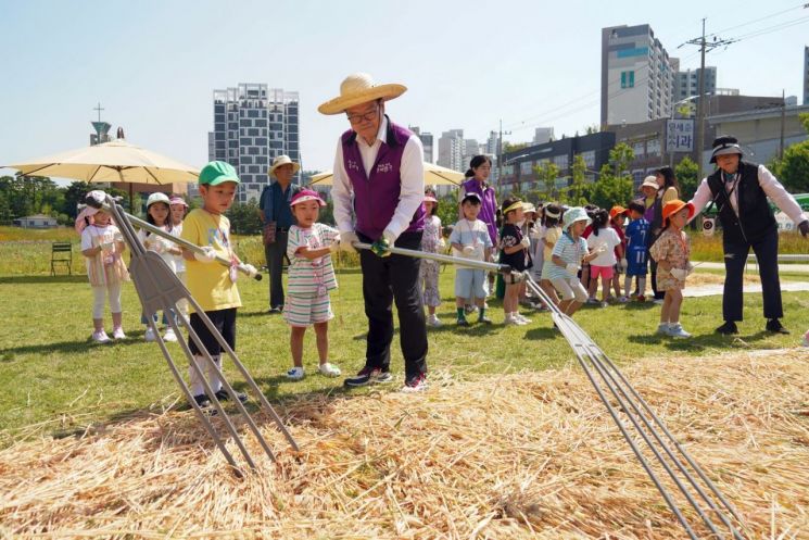 금빛으로 물든 도심 속 청보리 밭