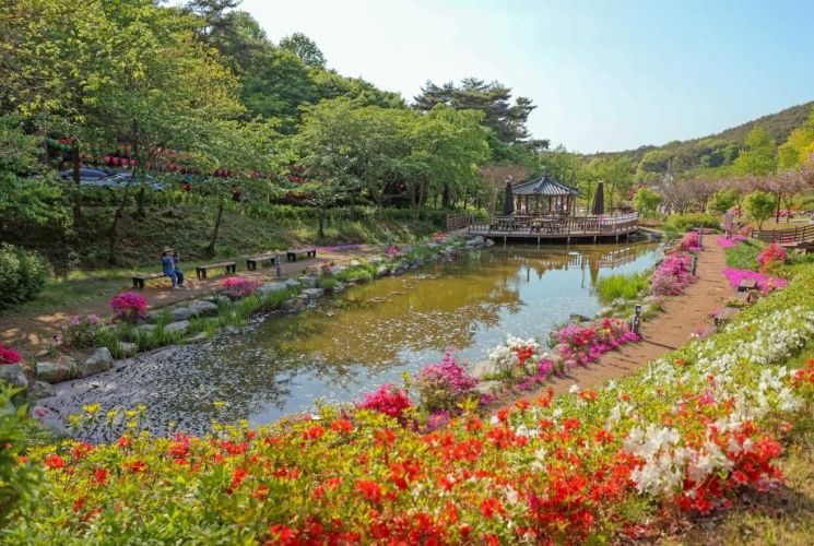 "활짝 핀 꽃 보며 무더위 날리세요"…충남도 여름꽃 명소 소개