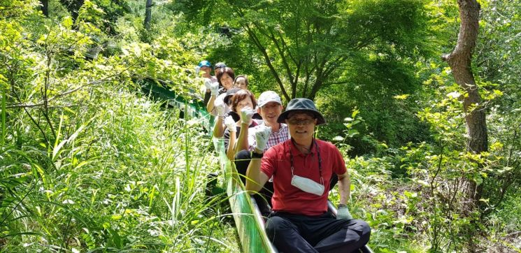 "활짝 핀 꽃 보며 무더위 날리세요"…충남도 여름꽃 명소 소개